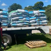 Productores de mojarras reciben 33 toneladas de alimentos