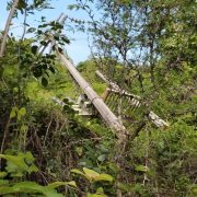 Vientos de Milton derriban dos postes de energía eléctrica en Jobal