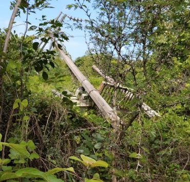 Vientos de Milton derriban dos postes de energía eléctrica en Jobal