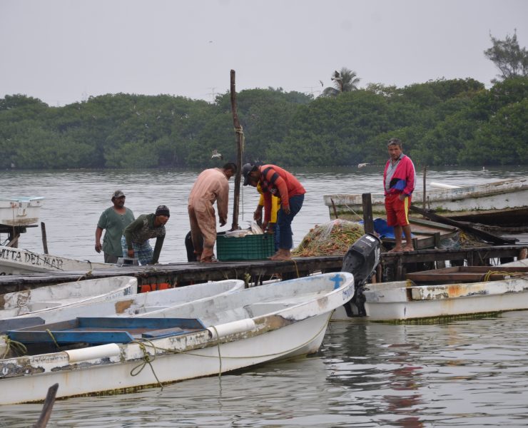 Mal tiempo afecta al sector pesquero ribereño