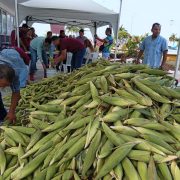Proyectarán centros de acopios para frutas y verduras