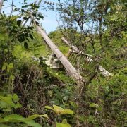 Cooperativas acuícolas de Jobal con un mes sin energía eléctrica