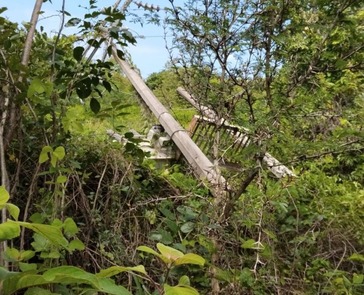 Cooperativas acuícolas de Jobal con un mes sin energía eléctrica