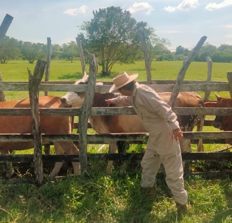 SINIIGA y SAGARPA realizan negocio redondo con el aretado de ganados