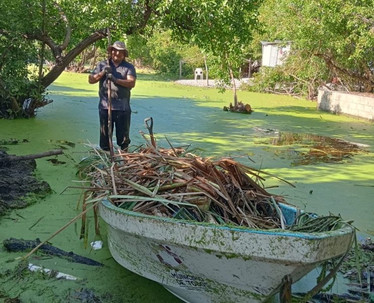 Rescatan Laguna de Guadalupe de Ciudad del Carmen