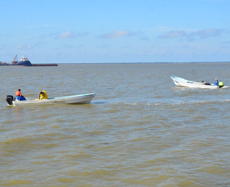 Reactivación de la pesca en Carmen generaría derrama económica