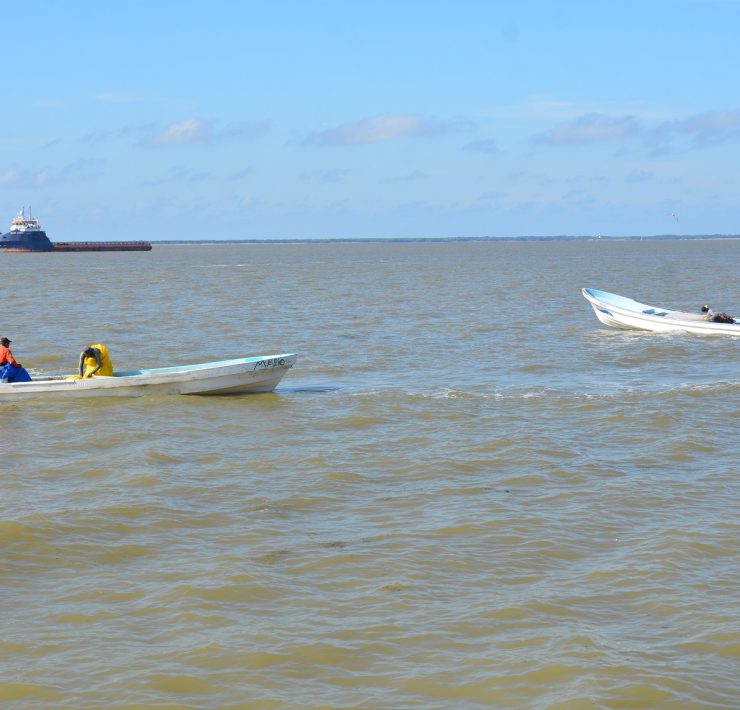 Reactivación de la pesca en Carmen generaría derrama económica