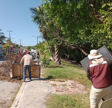 Inconciencia ciudadana