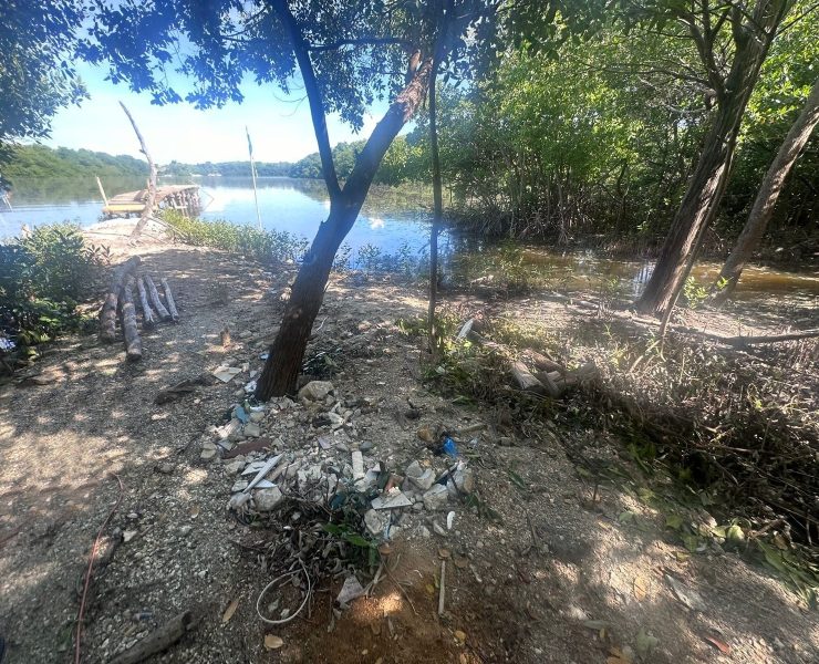 Leyes ambientales sin aplicar en Campeche