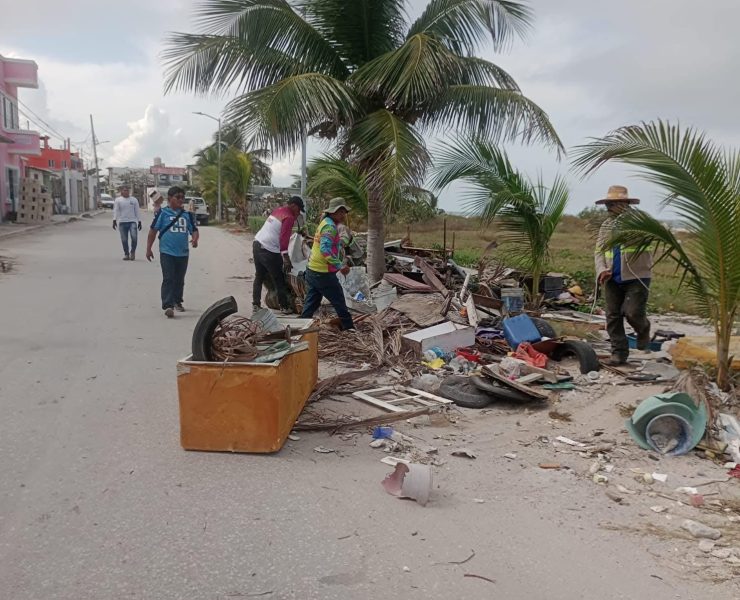 Zofemat ha levantado toneladas de desechos