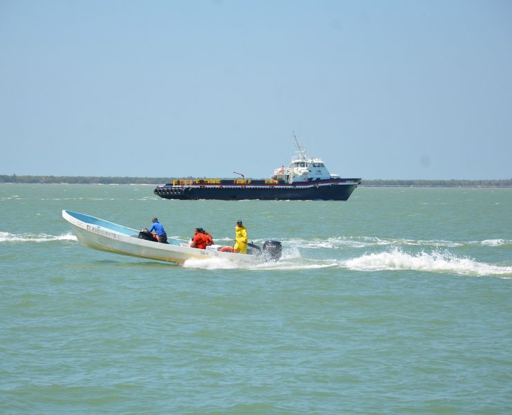 Preocupa al sector pesquero los robos en el mar