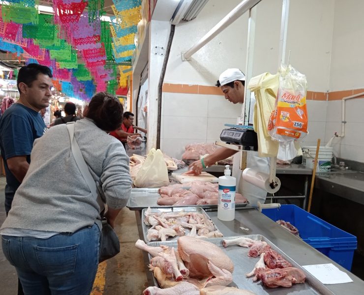 La economía del Carmen sostenida por variación de actividades