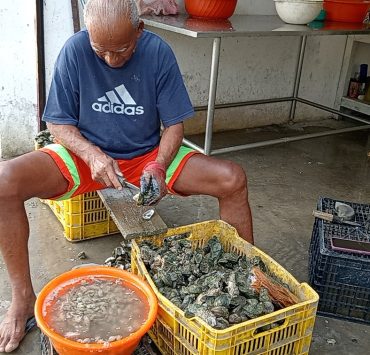 Contrarrestarán venta ilegal de ostiones