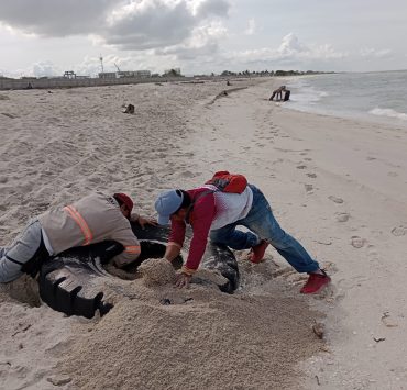 Limpian playa de la colonia Tierra y Libertad