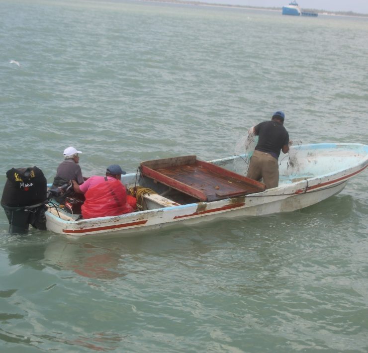 Mal tiempo impide la pesca ribereña