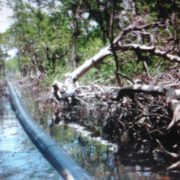 Atastecos irán duro contra Pemex en caso que se presente otra fuga de gas