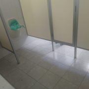 IMSS de Santa Isabel con sanitarios inservibles