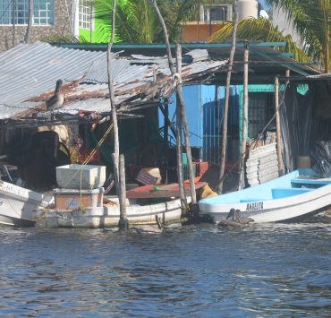 Sector pesquero ribereño organizado podría desaparecer