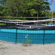 Atrasos en proyectos acuícolas afecta a productores