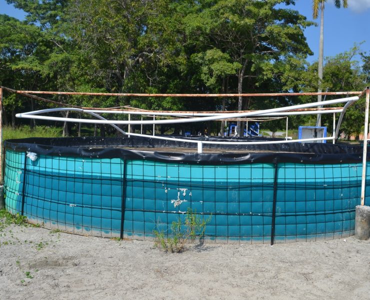 Atrasos en proyectos acuícolas afecta a productores