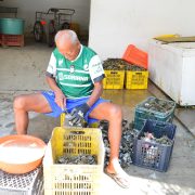 Vigilancia marina frena un poco a ostioneros piratas