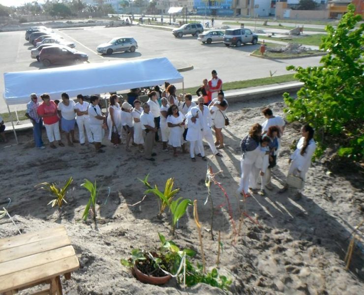 Equinoccio de Primavera ideal para manifestar intenciones