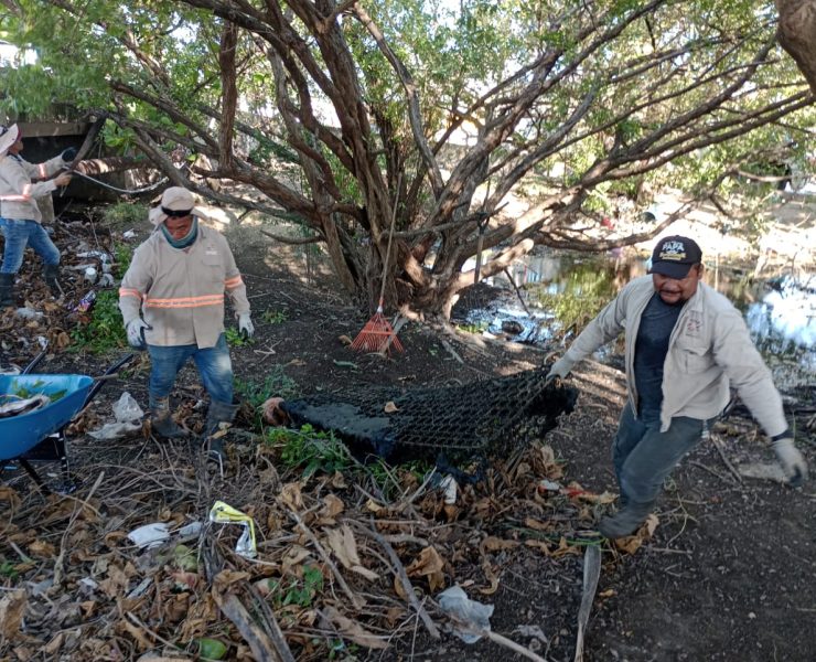 Arroyos y manglares contaminados de basura