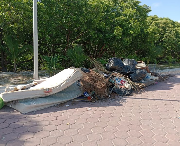 Basura en manglares y arroyos por falta de educación ambiental