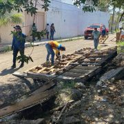 Recuperan espacios a orillas de arroyos y manglares invadidos