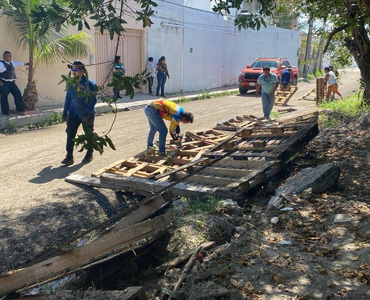 Recuperan espacios a orillas de arroyos y manglares invadidos