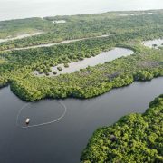 Falta de coordinación para frenar la pesca furtiva en la Laguna de Términos