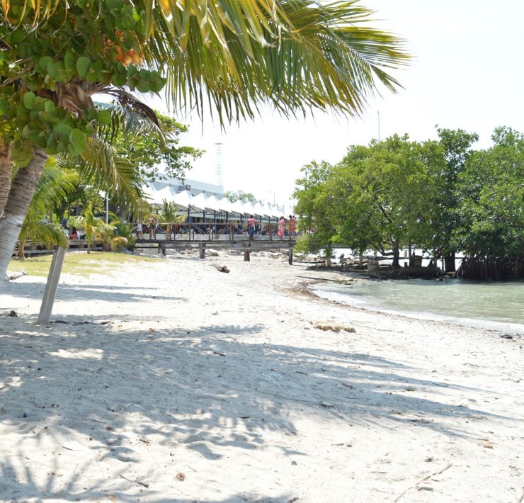 Turismo futuro del municipio de Carmen