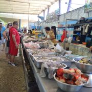 Expendedores de pescados del mercado principal ven repunte en sus ventas