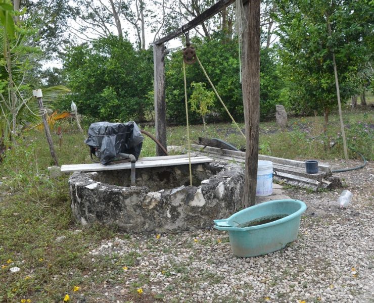 Sistema de riego en parcelas hará producir el campo campechano