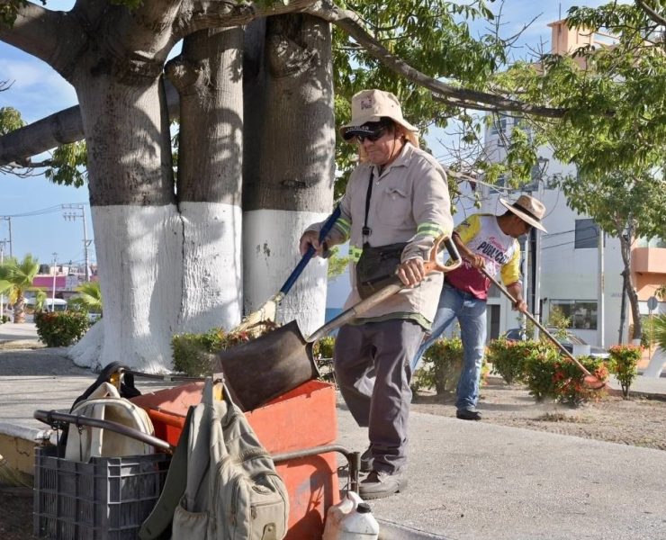 Ayuntamiento del Carmen reinstalará a trabajadores de más de 60 años