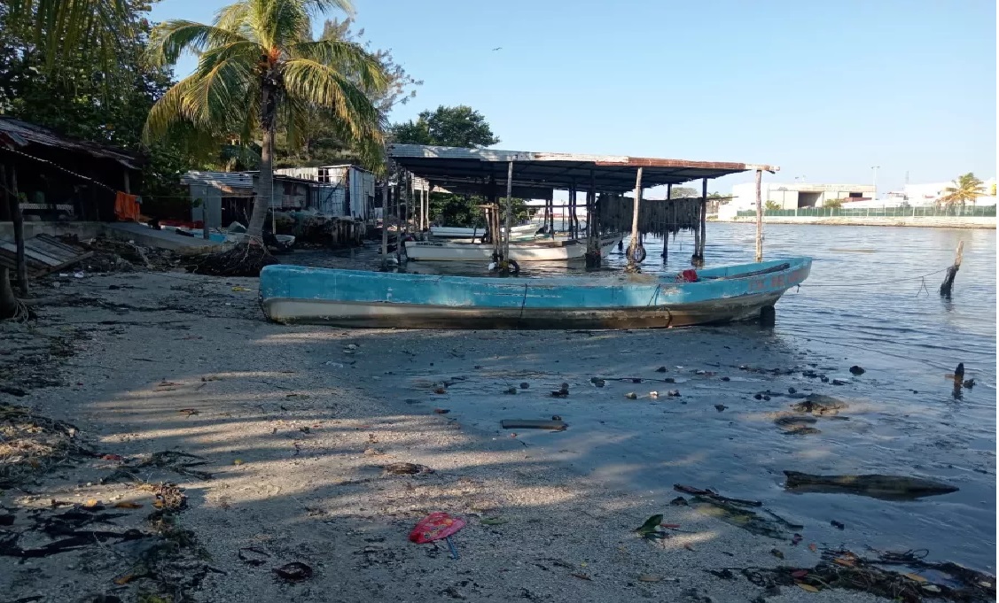 La pesca ribereña ha caído en un 70 por ciento