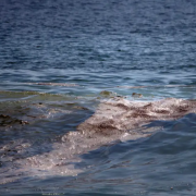 ONG denuncian que derrame inició en febrero