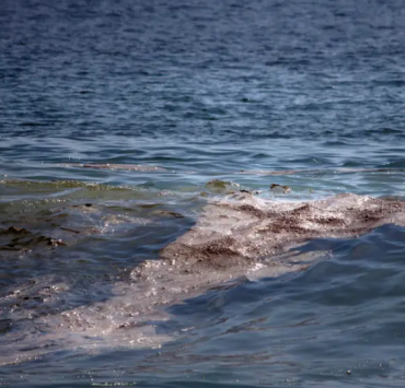 ONG denuncian que derrame inició en febrero