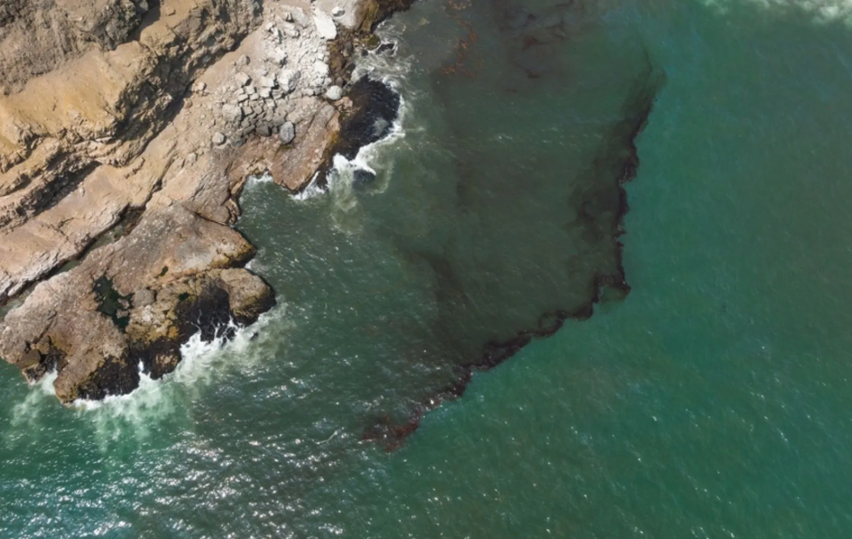 Impacto ambiental y respuesta oficial