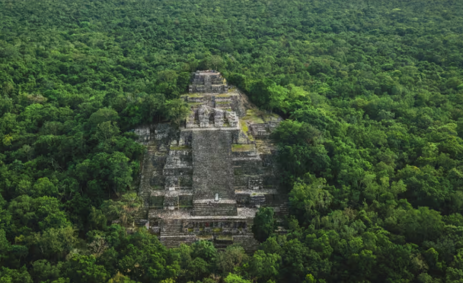 Impacto de agroindustria y crisis ambiental