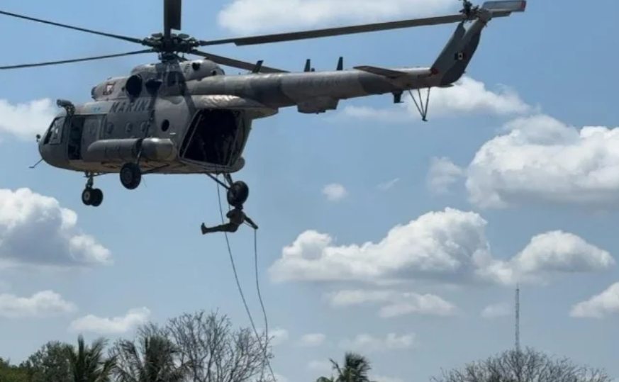 Inserción Acuática Especializada