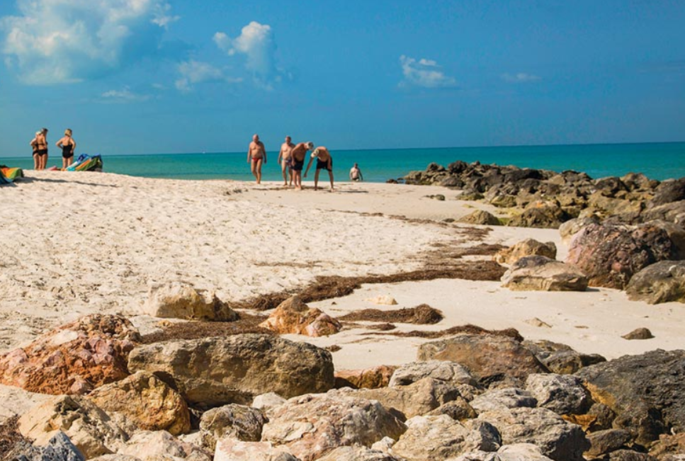 Vigilancia ambiental constante en la región