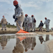 Recolectan 700 toneladas de hidrocarburo derramado