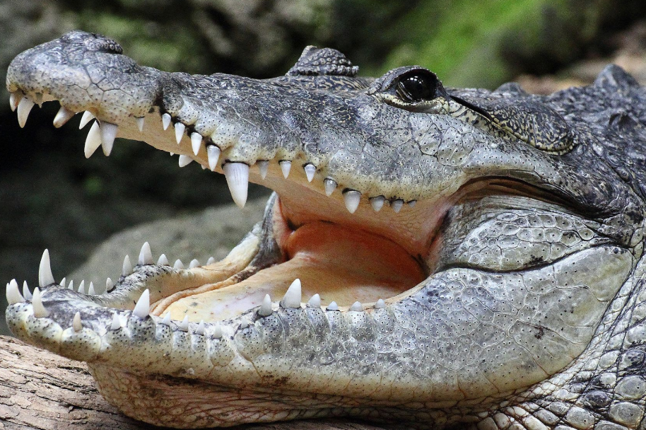 Consecuencias legales por posesión ilegal