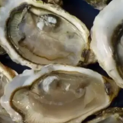 Autoridades descartan riesgo sanitario en moluscos