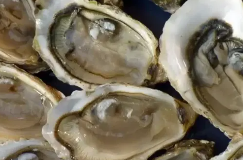 Autoridades descartan riesgo sanitario en moluscos