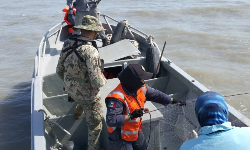 Semar confisca mil 400 kilogramos de producto en Campeche