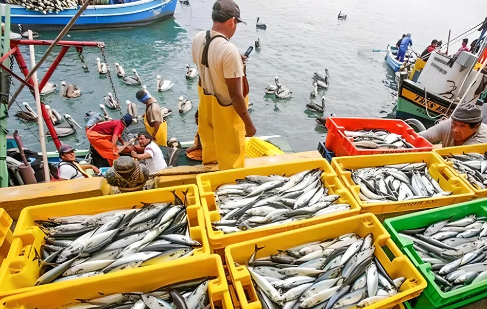 Operativos de inspección y resultados clave