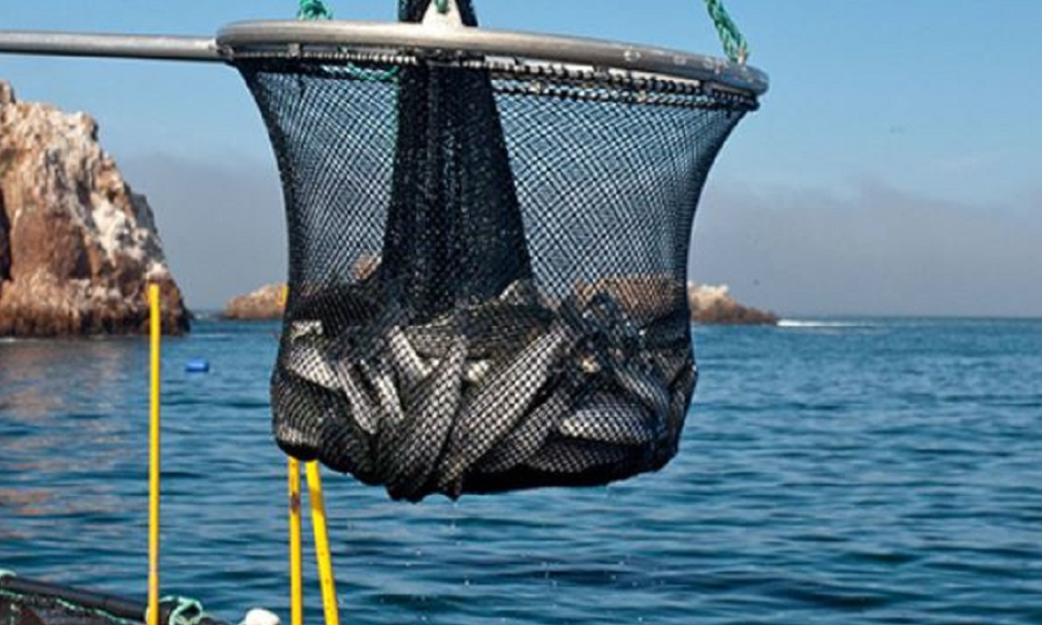 Impacto en pescadores y economía local