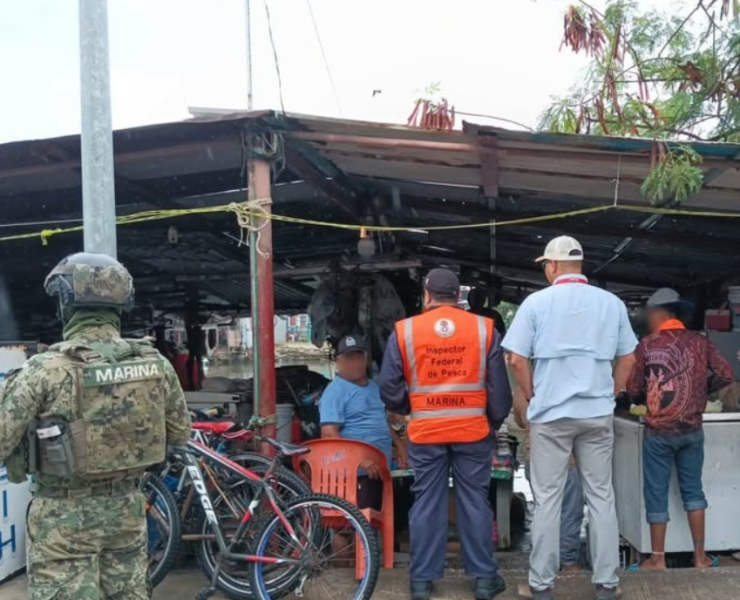 Golpe a la pesca ilegal, autoridades aseguran más de una tonelada de producto